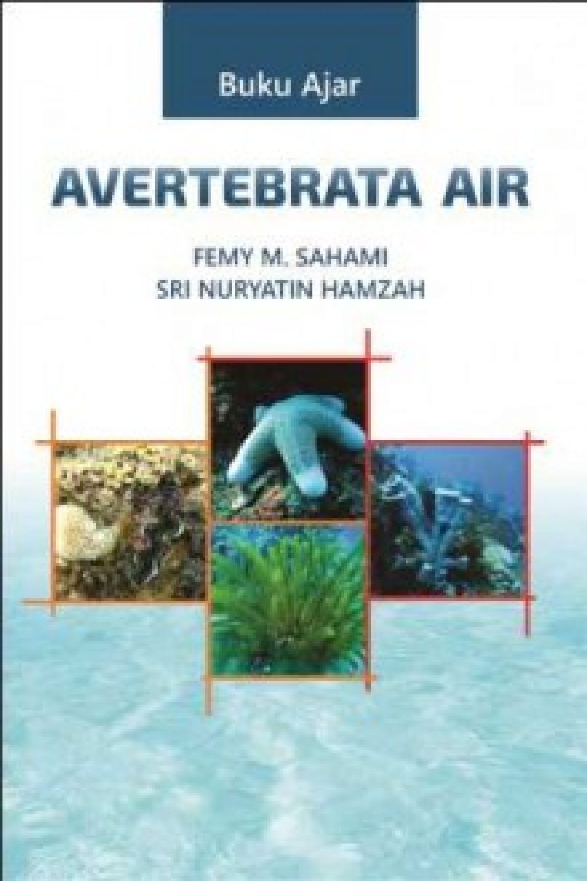 Buku  Ajar Avertetebrata Air